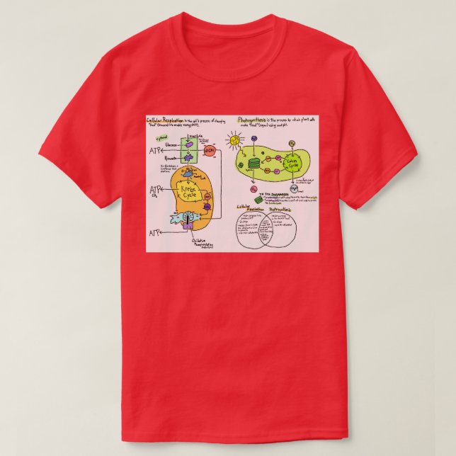 Cellular respiration and photosynthesis diagram T-Shirt (Design Front)