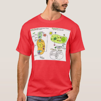 Cellular respiration and photosynthesis diagram T-Shirt