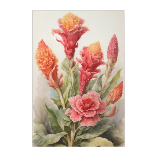 Celosia Acrylic Print