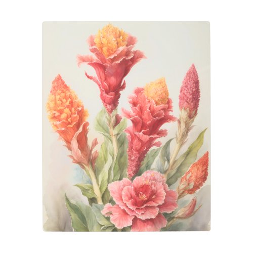 Celosia Metal Print