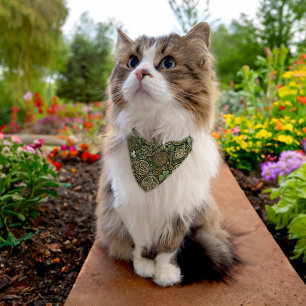 Celtic Bloom Pet Bandana Collar