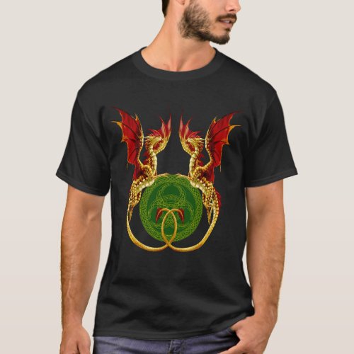 Celtic Crescent Moon And Dragons T_Shirt