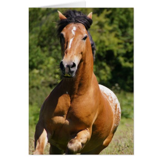 Celtic Flame card (Front)