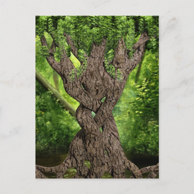 Celtic Knot Tree Postcard (Front)