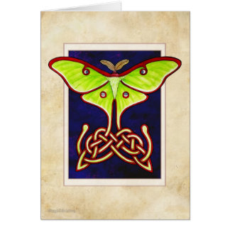 Celtic Lunar Moth Cards
