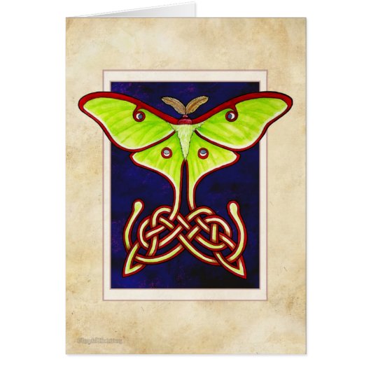 Celtic Lunar Moth Cards (Front)