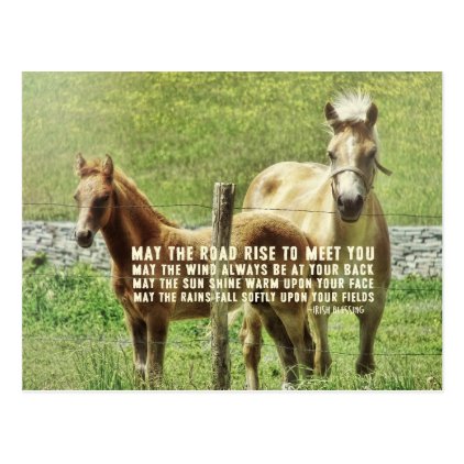 CELTIC PONIES Postcard