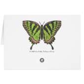 Celtic Swallowtail Card (Back Horizontal)