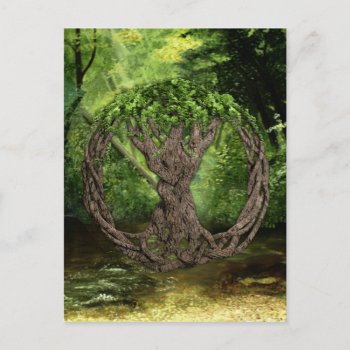 Celtic Tree Of Life Postcard by thecelticflame at Zazzle