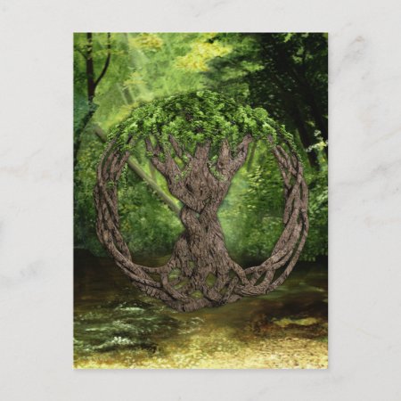 Celtic Tree Of Life Postcard