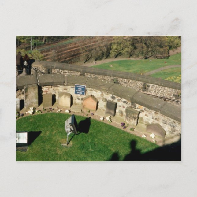 Cemetary for Soldier Dogs - Scotland Postcard (Front)