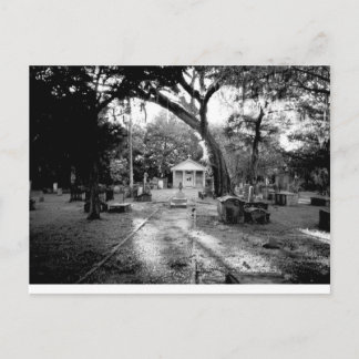 Cemetery Postcard