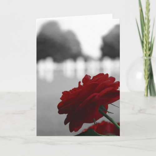 Cemetery  Red Rose _ Memorial Day Card