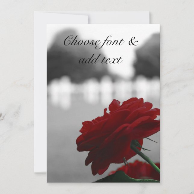 Cemetery & Red Rose - Memorial Day Card (Front)