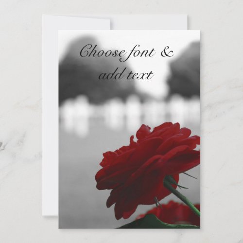 Cemetery  Red Rose _ Memorial Day Card