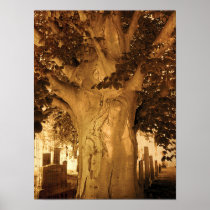 Cemetery Vintage Antique Sepia Tree Sheet Music