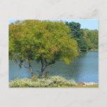 Centennial Lake in Ellicott City Maryland Postcard