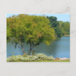Centennial Lake in Ellicott City Maryland Postcard