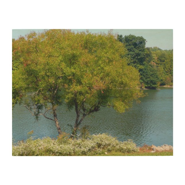 Centennial Lake in Ellicott City Maryland Wood Wall Decor (Front)