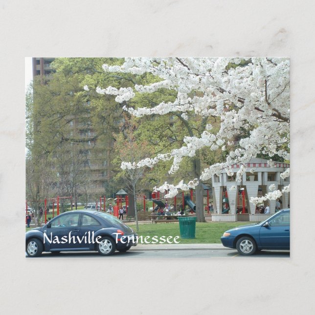 Centennial Park in Spring Postcard (Front)