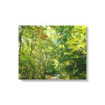 Centennial Wooded Path I Ellicott City Nature Canvas Print