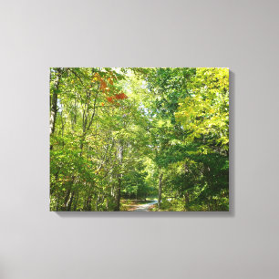 Centennial Wooded Path I Ellicott City Nature Canvas Print