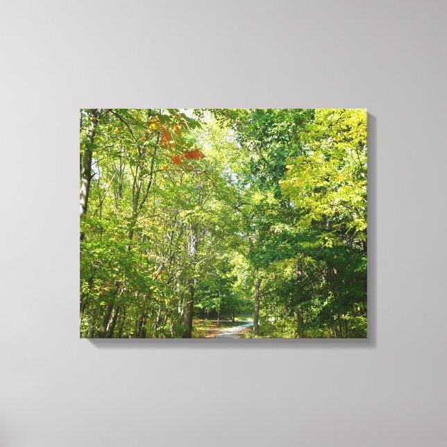 Centennial Wooded Path I Ellicott City Nature Canvas Print (Front)