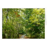 Centennial Wooded Path I Ellicott City Nature Card