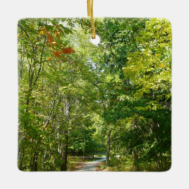 Centennial Wooded Path I Ellicott City Nature Ceramic Ornament (Front)