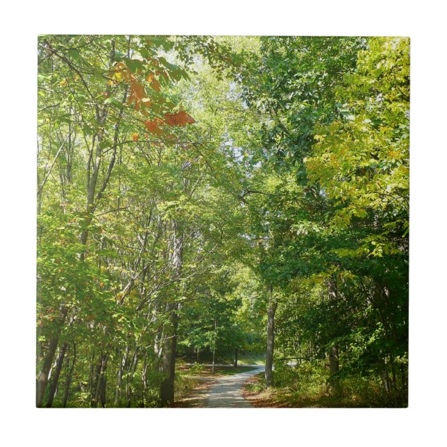 Centennial Wooded Path I Ellicott City Nature Ceramic Tile (Front)