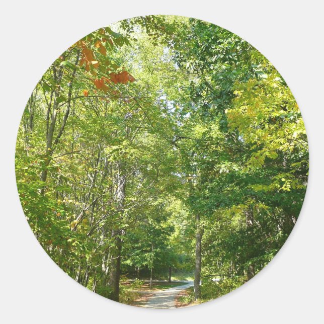 Centennial Wooded Path I Ellicott City Nature Classic Round Sticker (Front)