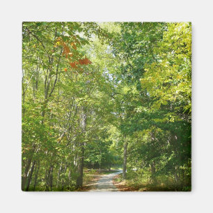 Centennial Wooded Path I Ellicott City Nature Magnet