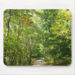 Centennial Wooded Path I Ellicott City Nature Mouse Pad