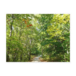 Centennial Wooded Path I Ellicott City Nature Postcard