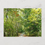 Centennial Wooded Path I Ellicott City Nature Postcard