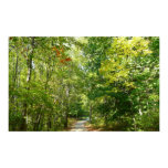 Centennial Wooded Path I Ellicott City Nature Poster