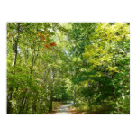 Centennial Wooded Path I Ellicott City Nature Poster
