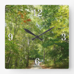 Centennial Wooded Path I Ellicott City Nature Square Wall Clock