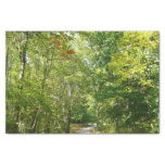Centennial Wooded Path I Ellicott City Nature Tissue Paper