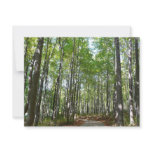 Centennial Wooded Path II Ellicott City Maryland