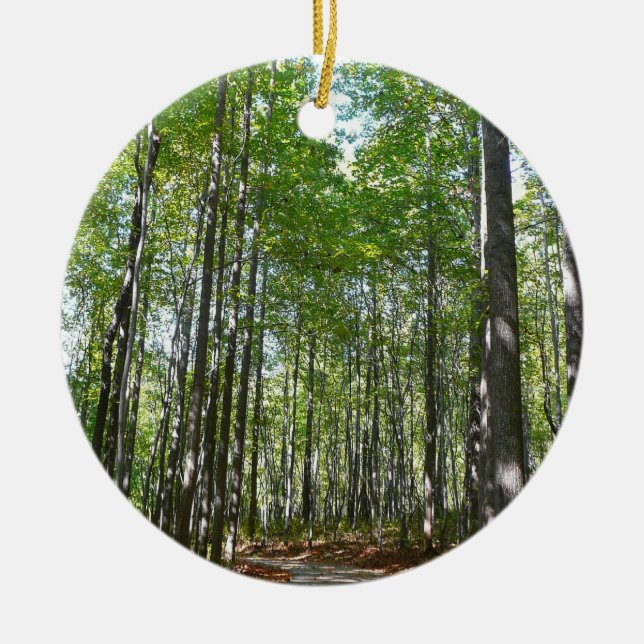Centennial Wooded Path II Ellicott City Maryland Ceramic Ornament (Front)