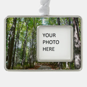 Centennial Wooded Path II Ellicott City Maryland Christmas Ornament