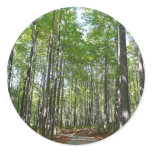 Centennial Wooded Path II Ellicott City Maryland Classic Round Sticker