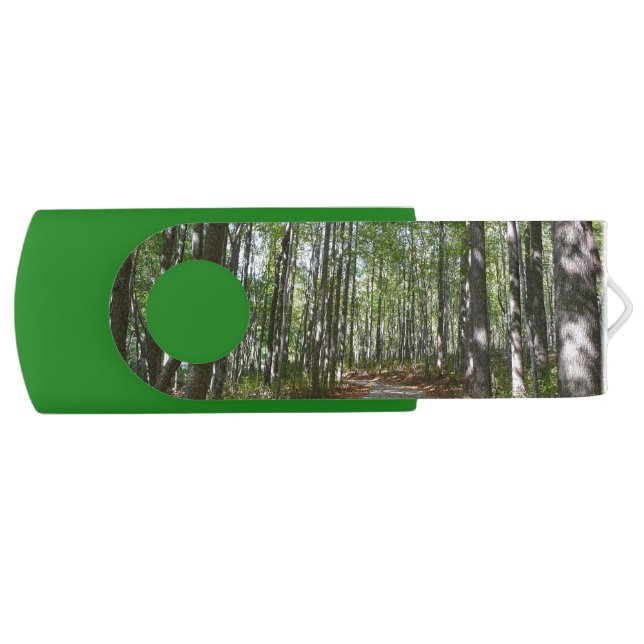 Centennial Wooded Path II Ellicott City Maryland Flash Drive (Front)