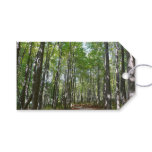 Centennial Wooded Path II Ellicott City Maryland Gift Tags