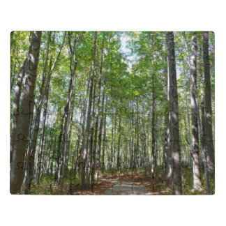 Centennial Wooded Path II Ellicott City Maryland Jigsaw Puzzle