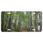 Centennial Wooded Path II Ellicott City Maryland License Plate