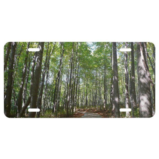 Centennial Wooded Path II Ellicott City Maryland License Plate (Front)