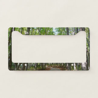 Centennial Wooded Path II Ellicott City Maryland License Plate Frame