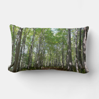 Centennial Wooded Path II Ellicott City Maryland Lumbar Pillow